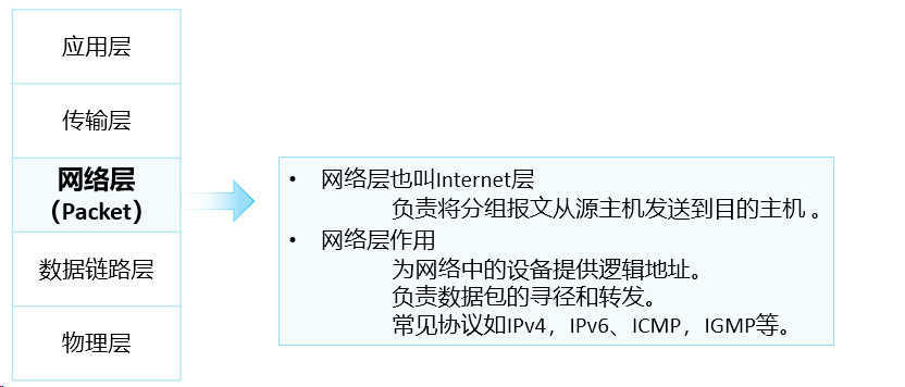 image-20240313110310533