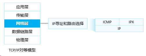 image-20240313164313052