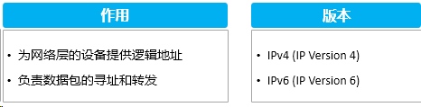 image-20240313164454630
