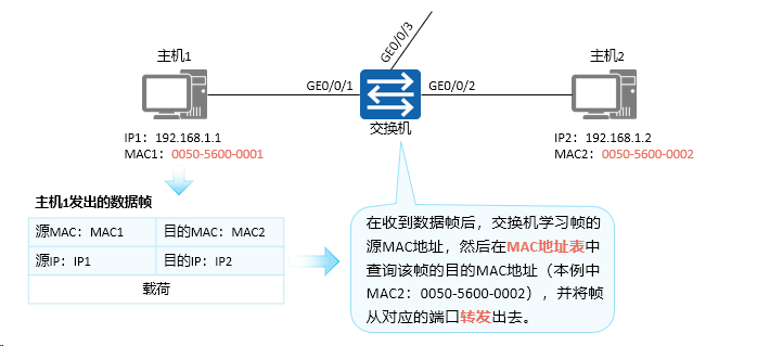 image-20240314162418136