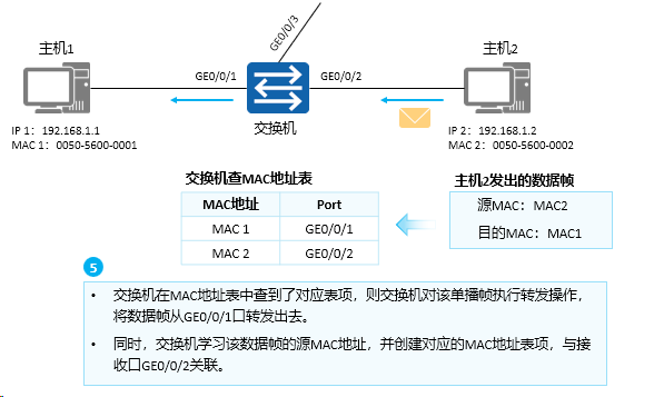 image-20240314163542847