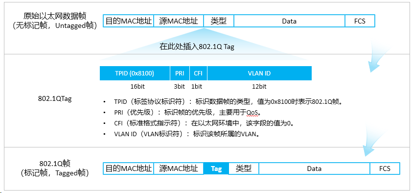 image-20240315103410457