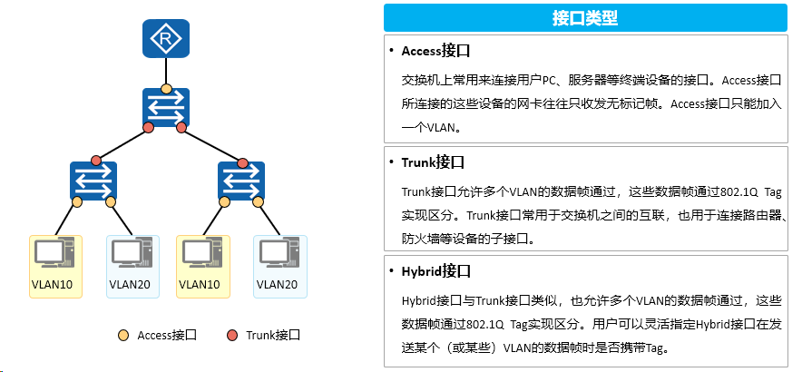 image-20240315104202507