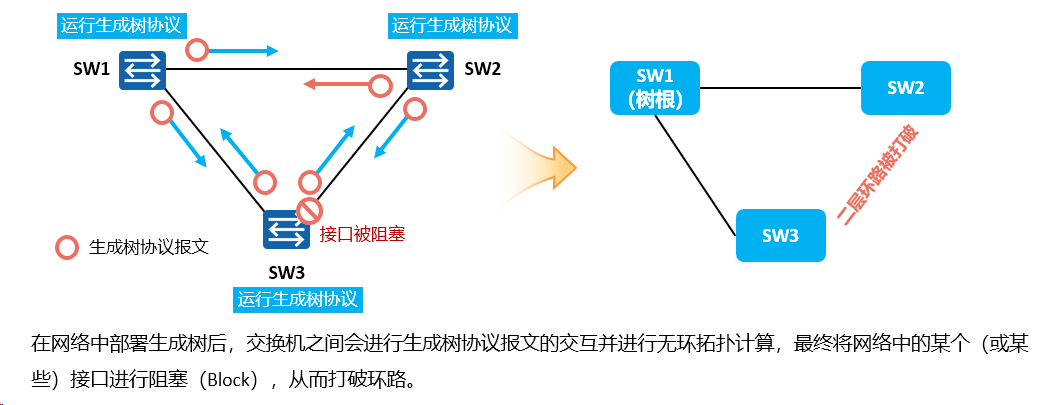 image-20240315125858538