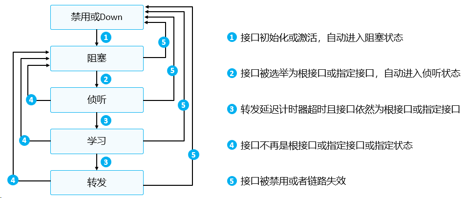 image-20240315131924116
