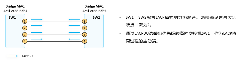 image-20240315161953900