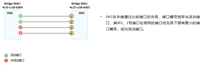 image-20240315162032654