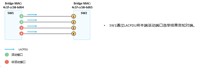 image-20240315163303129