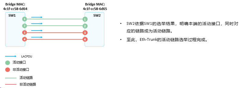 image-20240315163343177