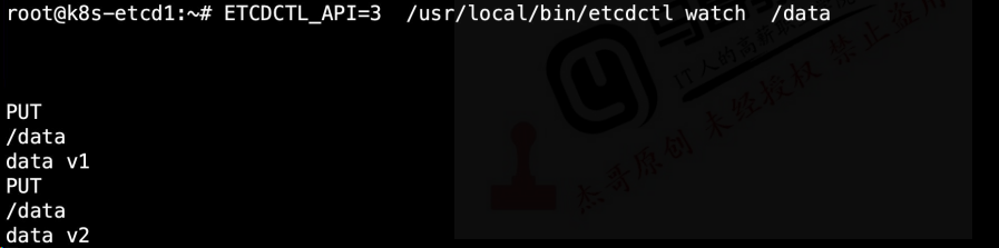 image-20240129154920203