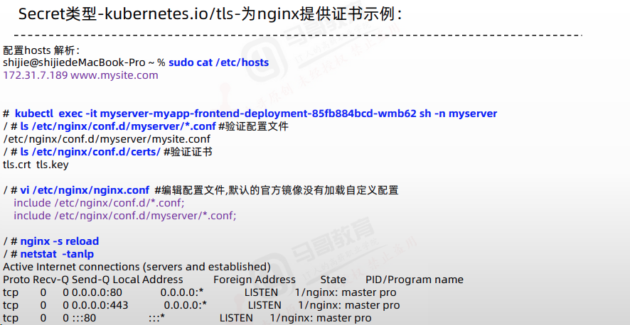 image-20240131083735822